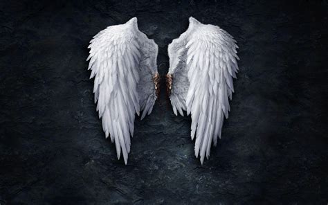 angel wings on black background|beautiful angels wings pics.